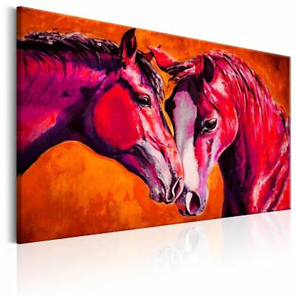 artgeist Wandbild Caress mehrfarbig Gr. 60 x 40 günstig online kaufen