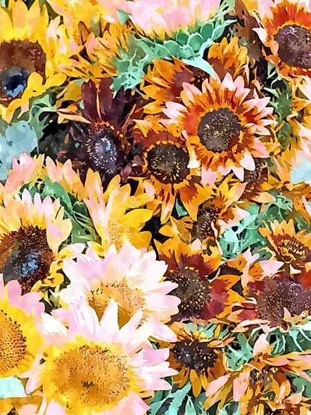 Poster / Leinwandbild - Summer Sunflowers günstig online kaufen