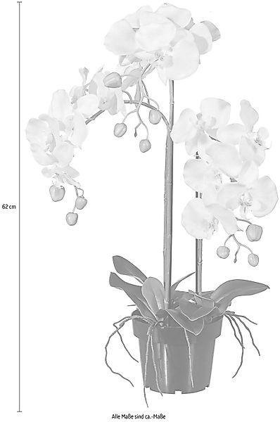 Kunstpflanze Orchidee, Creativ green, Höhe 62 günstig online kaufen