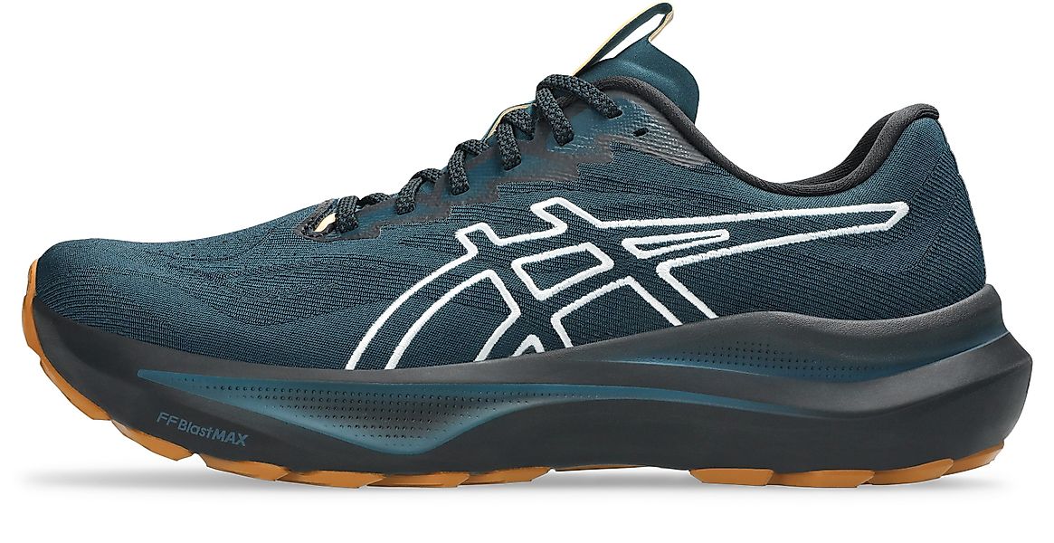 Asics GT-2000 14 TR Laufschuh für günstig online kaufen
