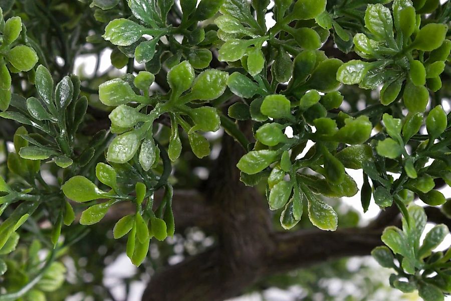 Emerald Kunstpflanze Bonsai Ficus Grün 47 cm 420006 Kunstpflanzen grün günstig online kaufen