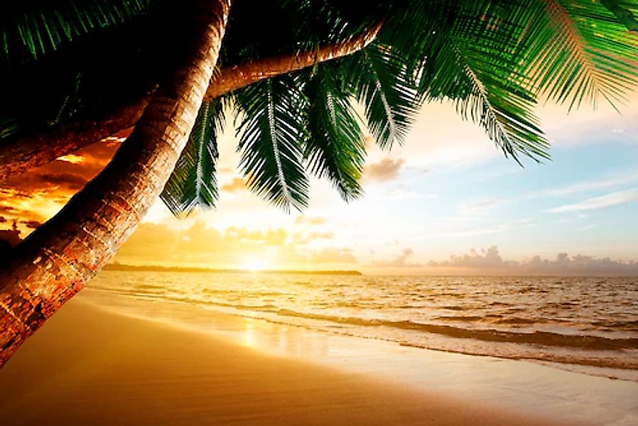 Papermoon Fototapete »Caribbean Beach Sunrise« glatt günstig online kaufen