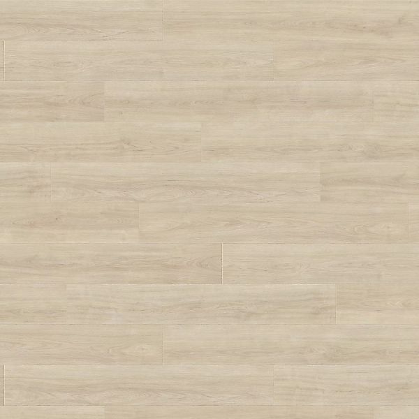 Living by Haro Laminat 8 mm Eiche Eleganza Creme günstig online kaufen