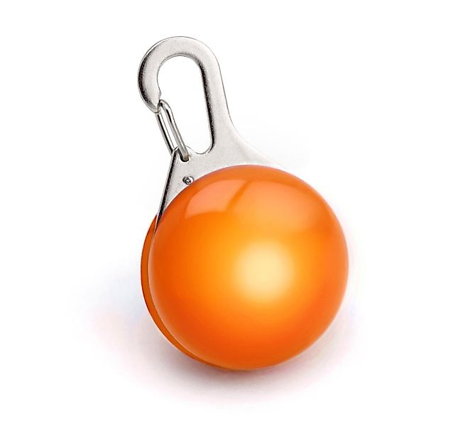 PRECORN Hunde-Sicherheitsgeschirr LED Leuchtanhänger Hunde Halsband günstig online kaufen