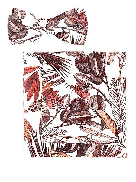 OLYMP Fliege (Set) günstig online kaufen