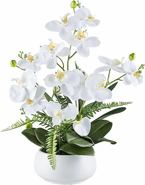 Creativ green Kunstorchidee »Orchidee Phalaenopsis«, mit Farnzweigen günstig online kaufen