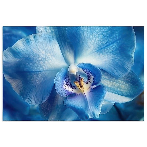 MuchoWow Poster Blau - Orchidee - günstig online kaufen