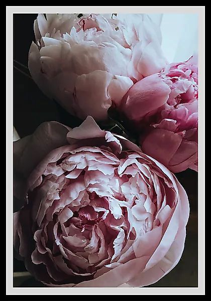 queence Bild »Ursula« Blumenbilder   Blätter   Foto   Kunst günstig online kaufen