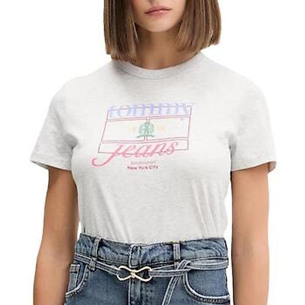 Tommy Hilfiger  T-Shirt DW0DW21533-P09 günstig online kaufen