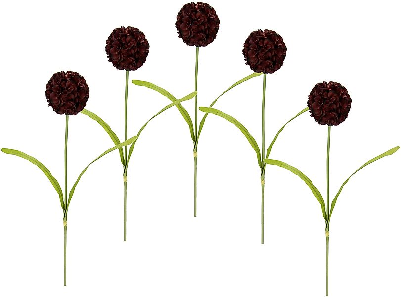 Kunstblume Allium, I.GE.A., Höhe 67 cm, günstig online kaufen