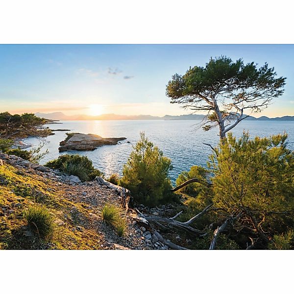 Vlies Fototapete Licht des Südens 400x280 cm günstig online kaufen