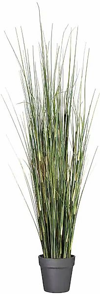 Creativ green Kunstgras »Equisetumgras« im Kunststofftopf günstig online kaufen