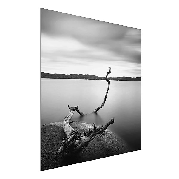 Alu-Dibond Bild Schwarz-Weiß - Quadrat Sonnenuntergang am See schwarz-weiß günstig online kaufen