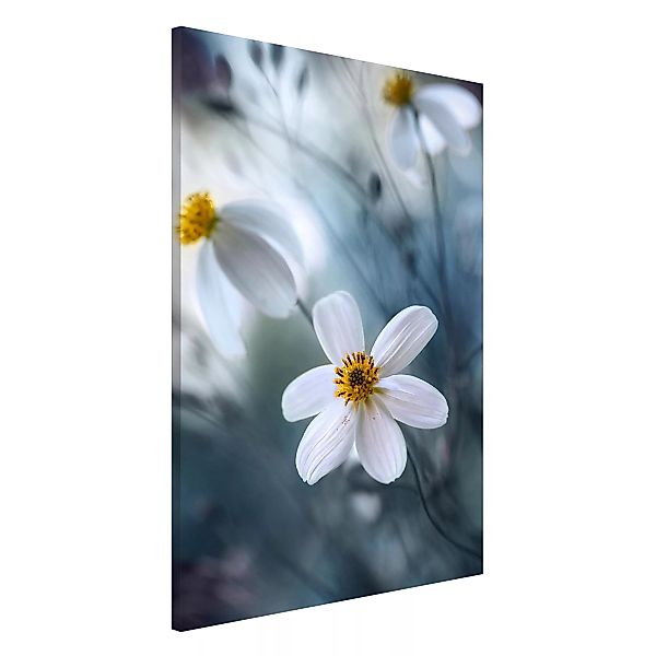 Magnettafel Blumen - Hochformat 2:3 Kosmeen in Pastell günstig online kaufen