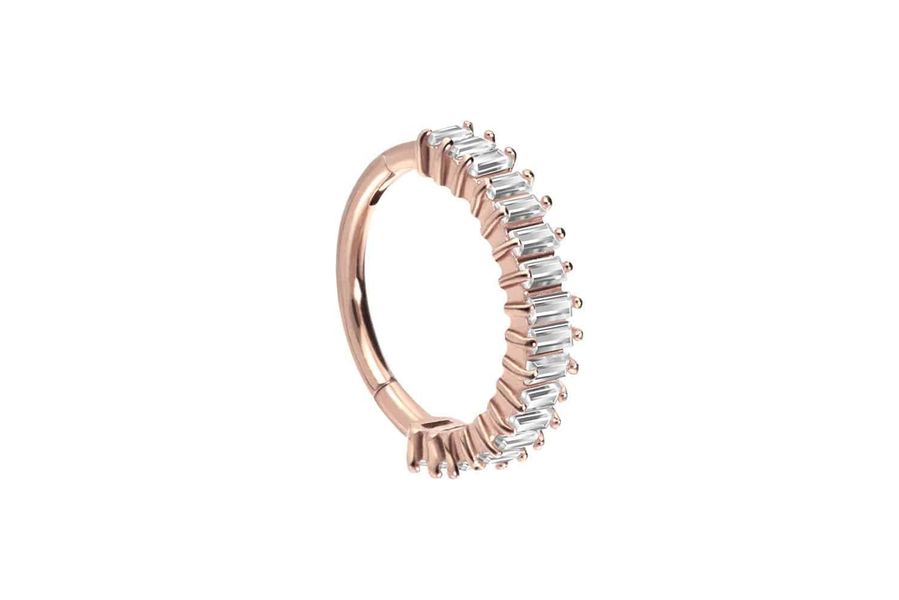 PIERCINGLINE Nasenpiercing Chirurgenstahl Segmentring Clicker EINGEFASSTE günstig online kaufen