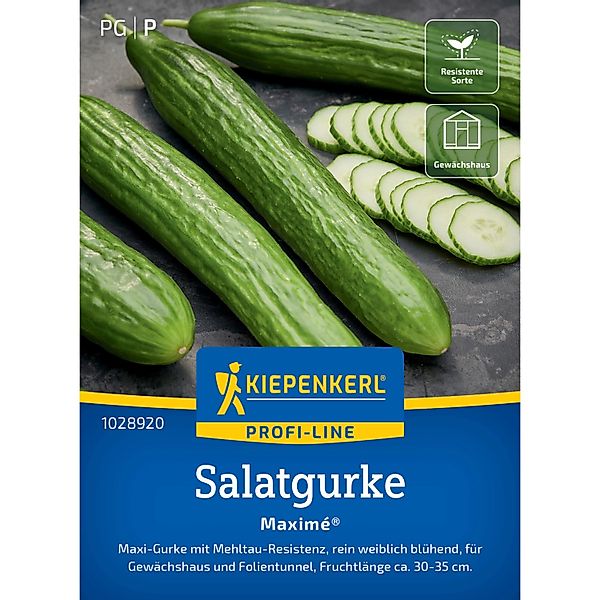 Kiepenkerl Profi-Line Salatgurke Maxime F1-Hybride günstig online kaufen