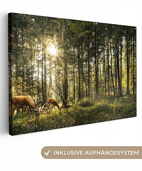OneMillionCanvasses® Leinwandbild Hirsche - Natur - günstig online kaufen