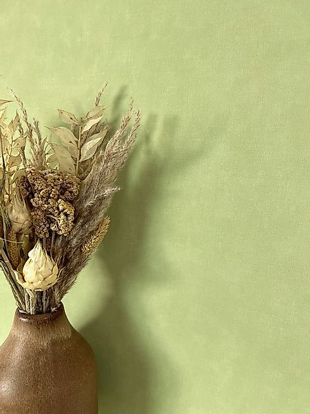 Newroom Vliestapete, Grün Tapete Modern Unifarbe - Universal Einfarbig Hell günstig online kaufen