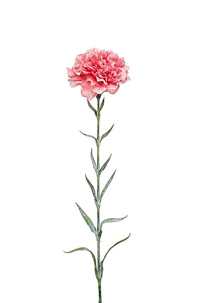 Kunstblume Rosa, Durchmesser 9 cm, Emerald, günstig online kaufen