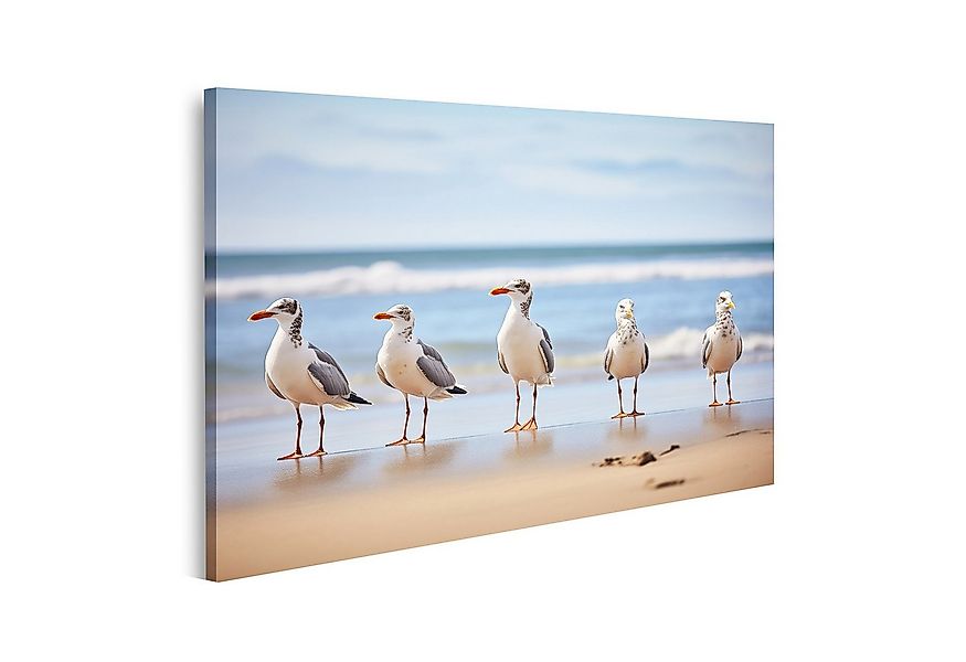 islandburner Leinwandbild Reihe Stehender Möwen Mit Blick Auf Den Ozean Bri günstig online kaufen