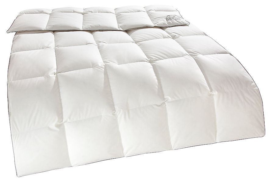 RIBECO Daunenbettdecke »Eve«, warm, Füllung 90% Daunen, 10% Federn, Bezug 1 günstig online kaufen