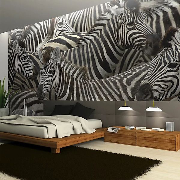 Fototapete - Herde Von Zebras günstig online kaufen