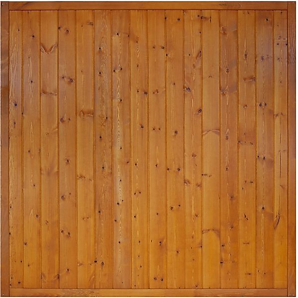 Sichtschutzzaunelement Oxford Pinie,ackiert 180 cm x 180 cm günstig online kaufen
