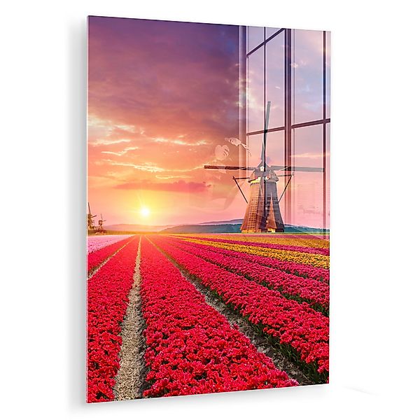 MuchoWow Acrylglasbild Blumen - Tulpen - günstig online kaufen