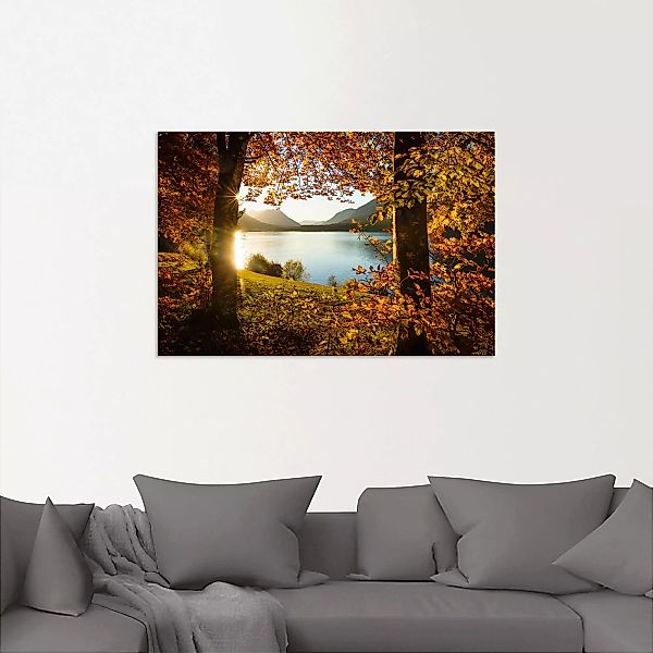 Artland Wandbild "Herbst am Sylvensteinsee", Gewässer, (1 St.), als Alubild günstig online kaufen