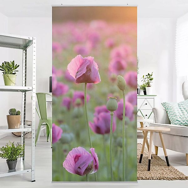 Raumteiler Blumen Violette Schlafmohn Blumenwiese im Frühling günstig online kaufen