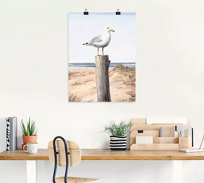 Artland Wandbild "Möwe", Vögel, (1 St.), als Alubild, Outdoorbild, Leinwand günstig online kaufen