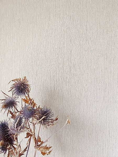 Newroom Vliestapete, Beige Tapete Uni Einfarbig günstig online kaufen