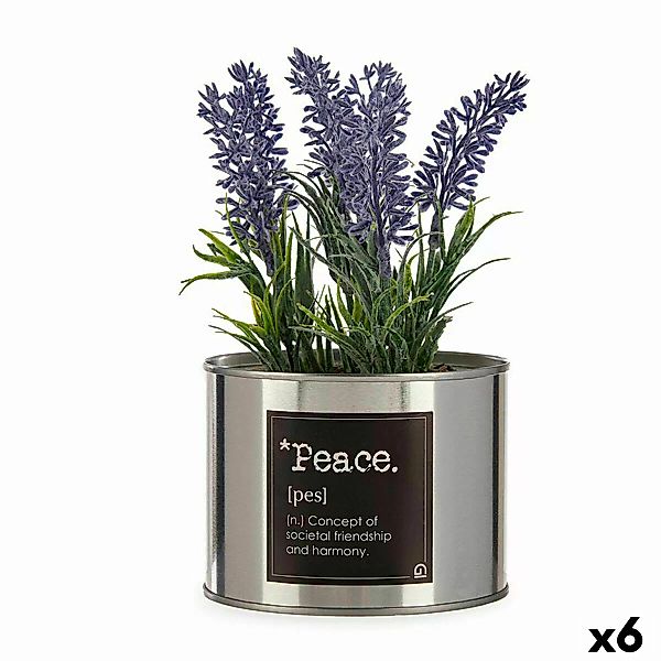 Dekorationspflanze Kunststoff Lavendel Dose 6 Stück günstig online kaufen