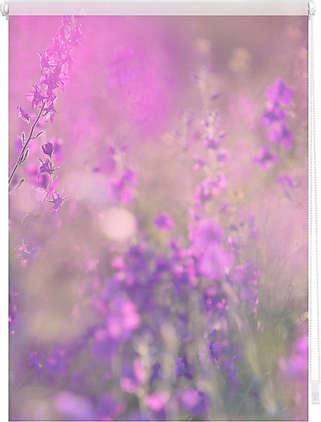 Seitenzugrollo Klemmfix Motiv Blumenwiese, LICHTBLICK ORIGINAL, günstig online kaufen