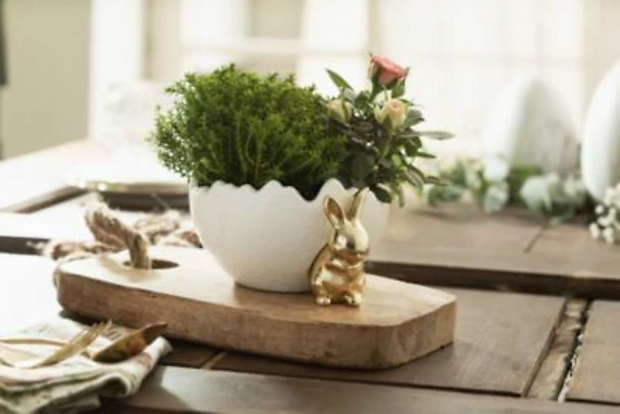 HOME Living Pflanzer Goldhäschen Blumentöpfe weiß günstig online kaufen