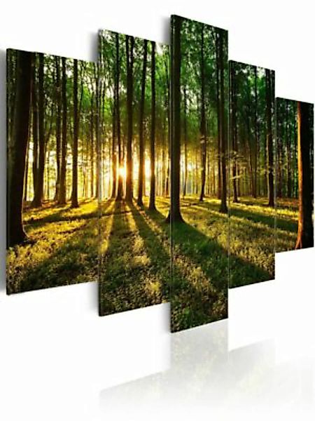 artgeist Wandbild Adventure in the woods mehrfarbig Gr. 200 x 100 günstig online kaufen