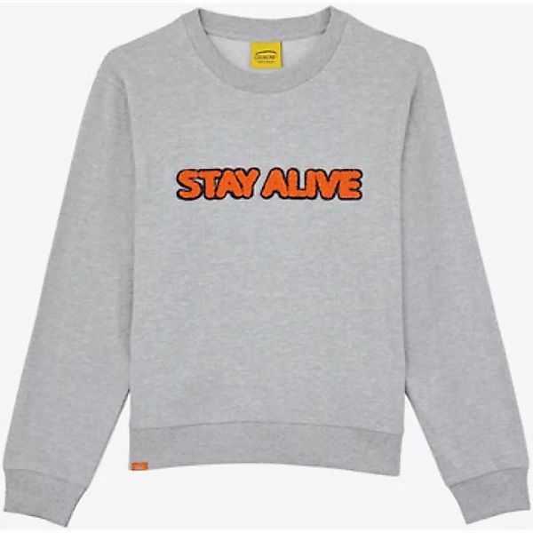 Oxbow  Sweatshirt Sweat SHEEKY günstig online kaufen