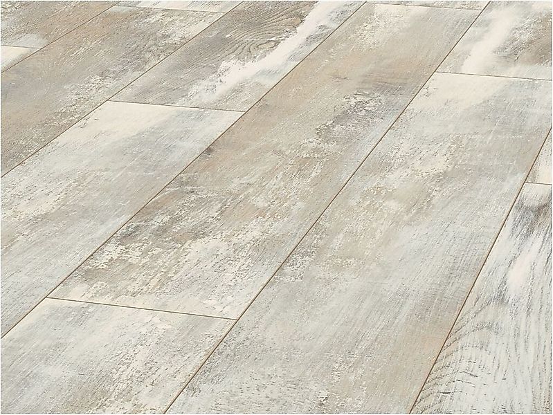 JANGAL Laminat Laminat Jangal 8081 Blyde günstig online kaufen