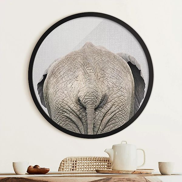 Rundes Gerahmtes Bild Elefant von hinten günstig online kaufen