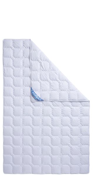 fan Microfaserbettdecke "Kansas" leicht Füllung Polyesterfaser 1 Stk. tlg. günstig online kaufen