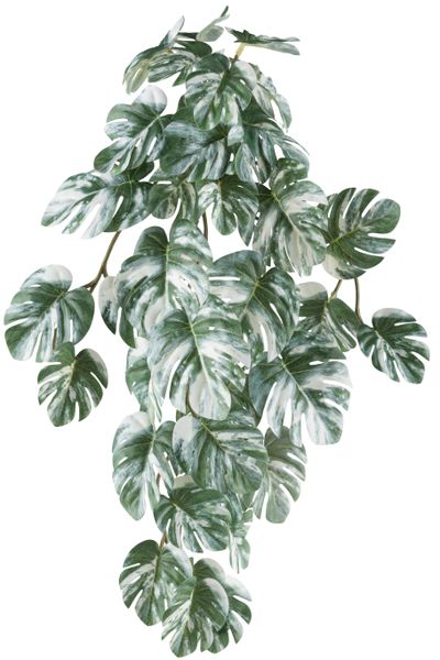 Creativ green Kunstranke "Hängepflanze Splitphilodendron variegata" mit nat günstig online kaufen