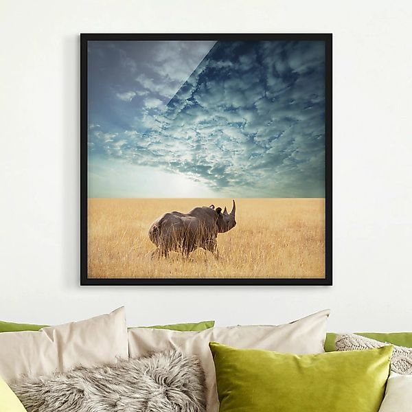 Bild mit Rahmen - Quadrat Nashorn in der Savanne günstig online kaufen