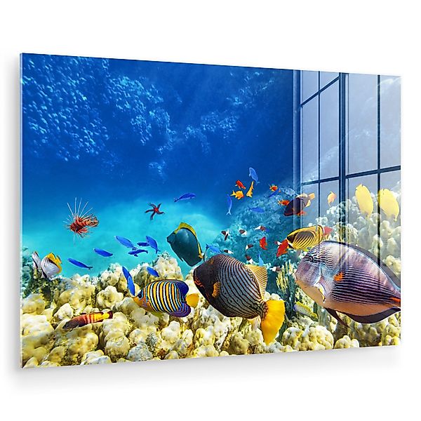MuchoWow Acrylglasbild Meer - Fische - günstig online kaufen
