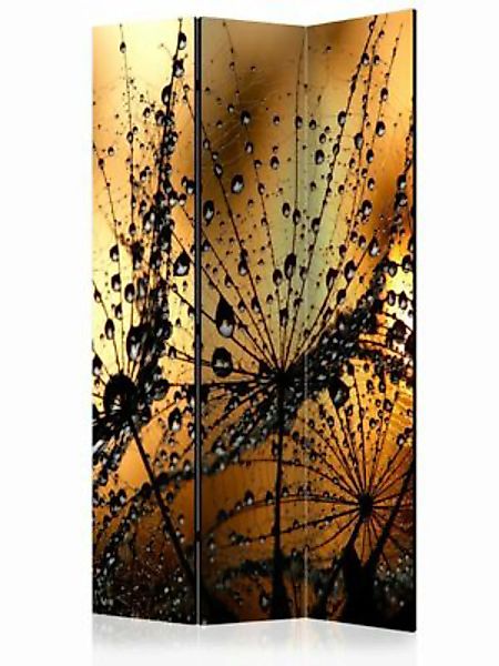 artgeist Paravent Dandelions in the Rain [Room Dividers] mehrfarbig Gr. 135 günstig online kaufen