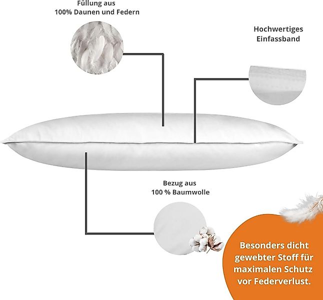 sleepling Federkissen, Füllung: Daunen- und Federn, Bezug: 100% Baumwolle, günstig online kaufen