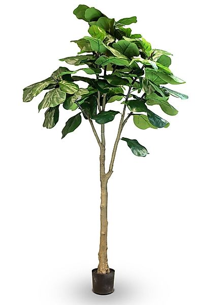 Geigenfeige - Ficus lyrata Kunstpflanze, UV Stabil, Höhe 240 cm günstig online kaufen
