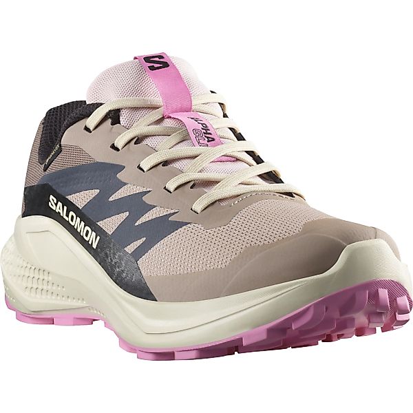 Salomon Laufschuh "ALPHAGLIDE GORE-TEX W" wasserdicht günstig online kaufen