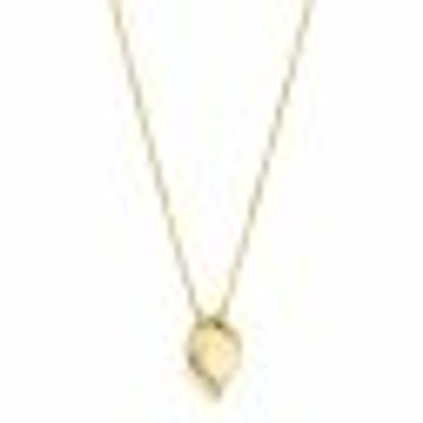 Anhänger mit Kette 925/- Sterling Silber vergoldet Zirkonia günstig online kaufen