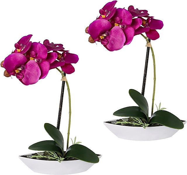 Kunstorchidee Phalaenopsis, Creativ green, Höhe 30 günstig online kaufen