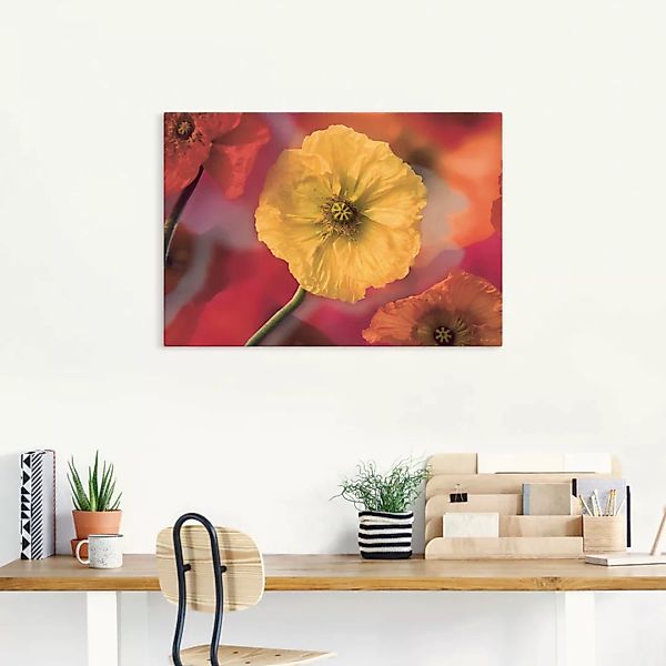 Artland Wandbild "Fotokollage Mohnblumen", Blumenbilder, (1 St.) günstig online kaufen